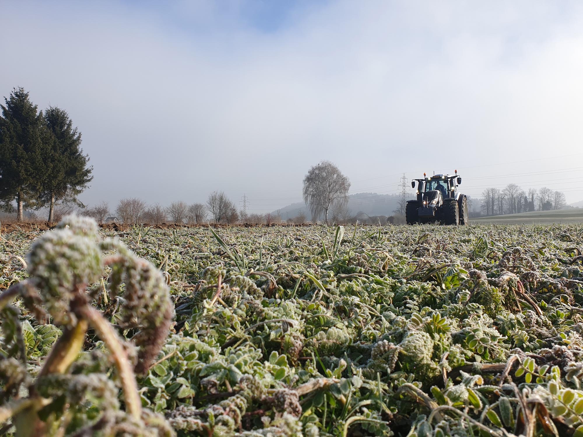 Smart Farming meets reality