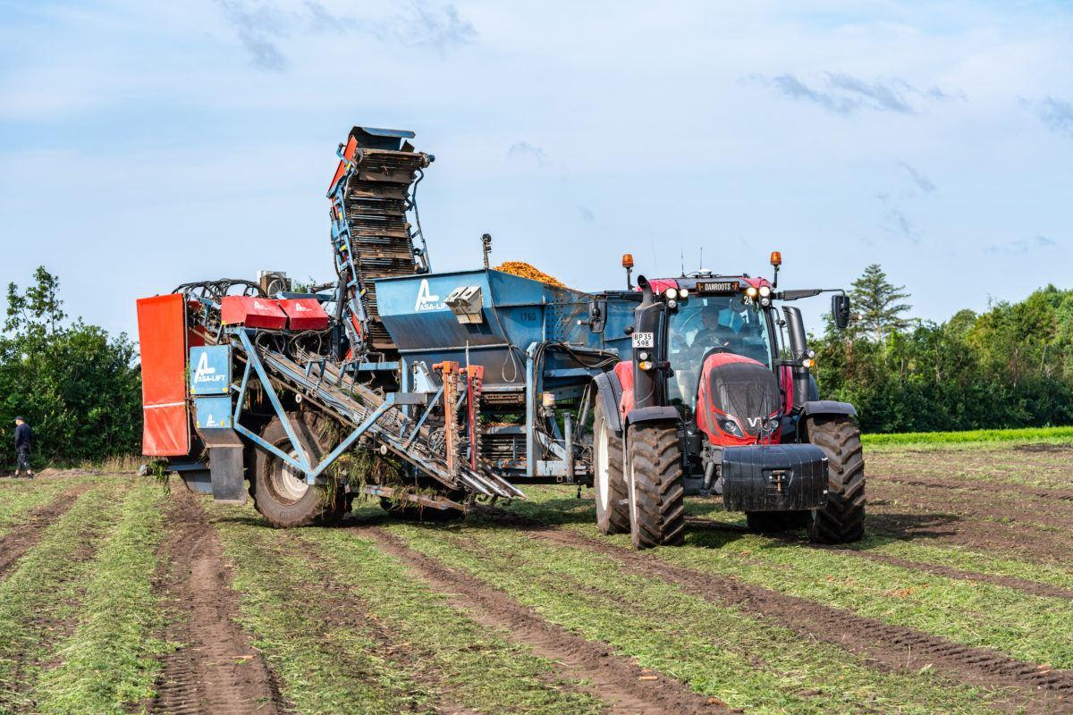 Valtra_T-series_working_in_DanRoots_carrot_farm_in_Denmark-1200x800.jpg